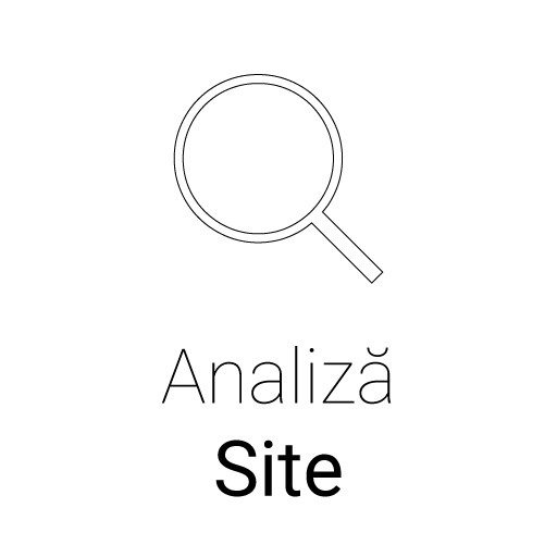Analiza Site