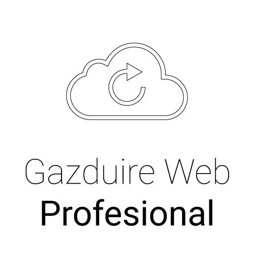 Gazduire Web Profesional